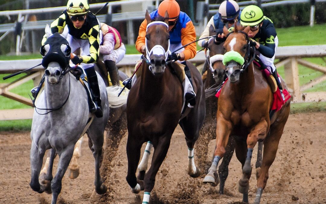 5 Tips for Betting on Horse Racing